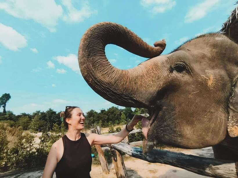 Siem Reap: Elephant Sanctuary Included Hotel Pickup Drop-off - Breaking Down the Itinerary