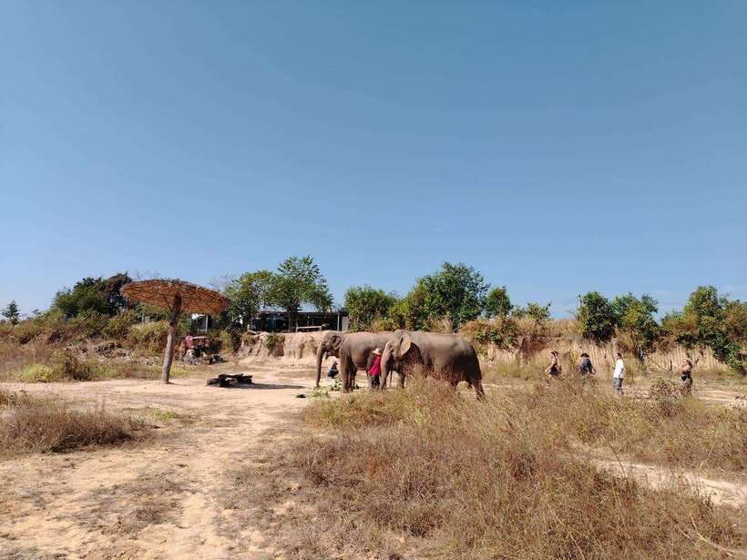 Siem Reap: Elephants & Apopo Rat Demining Private Trip - Detailed Itinerary Breakdown