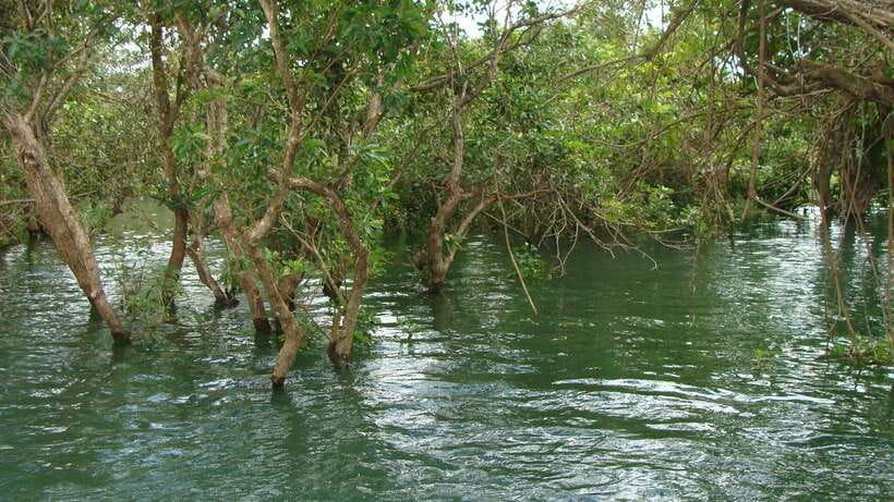 Siem Reap Floating Village Tour, Kompong Phluk Tour - What’s Included and What’s Not