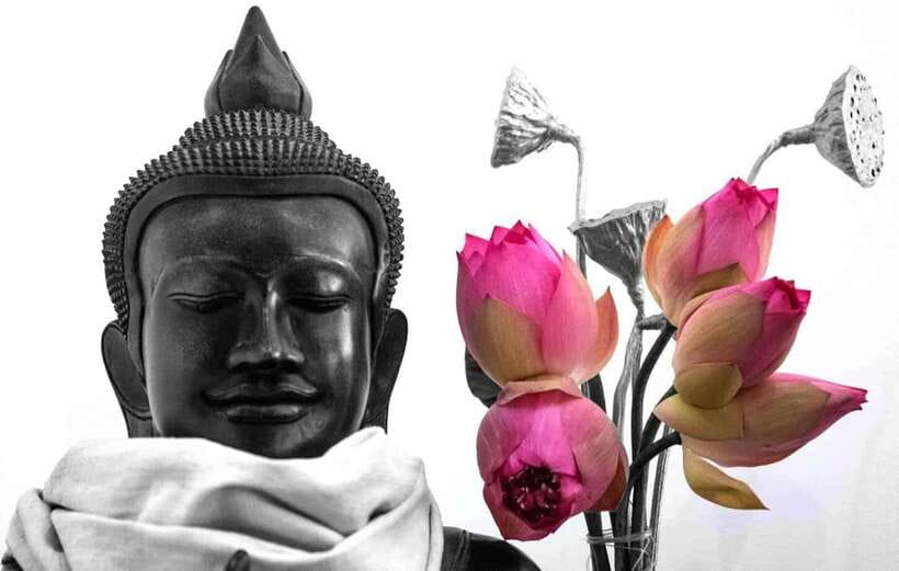 Siem Reap Lotus Silk Farm Tour with Pick Up downtown - Who Would Love This Tour?