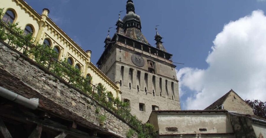 Sighisoara & wine tasting (from Cluj) - In-Depth Breakdown of the Itinerary