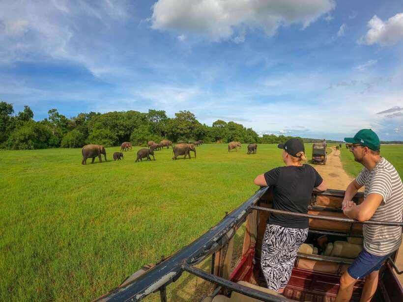 Sigiriya: Elephant Safari at Minneriya National Park - The Sum Up: Who’s This Tour Best For?