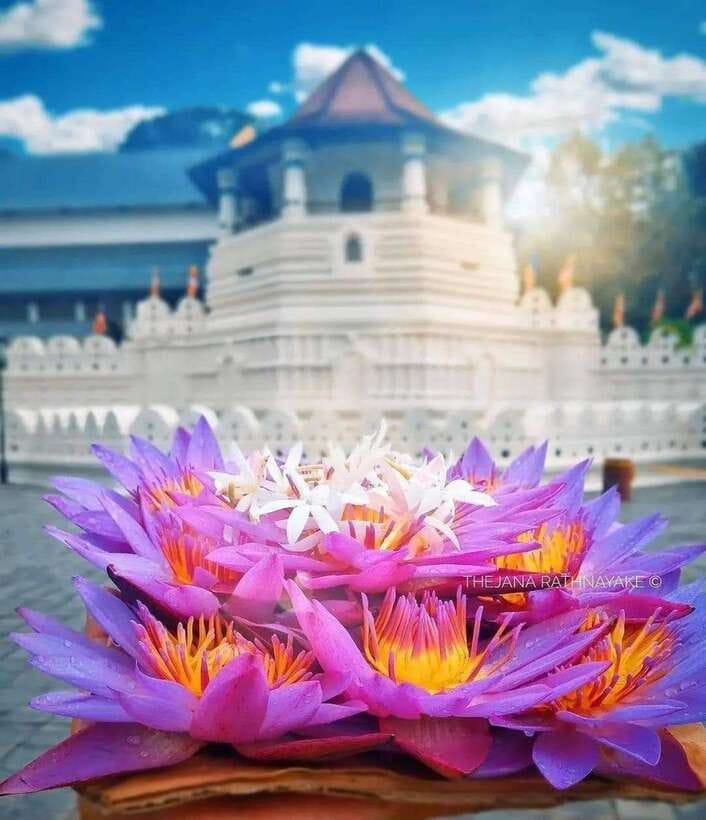 Sigiriya: Private Kandy Transfer: Visit Dambulla Cave Temple - The Herbal Spice Garden: Aromatic Learning