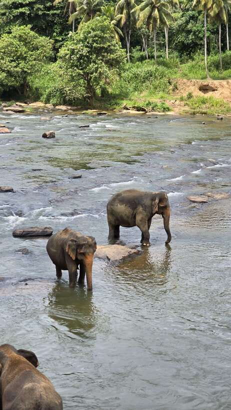 Sigirya's Wildlife Experience - The Itinerary in Detail