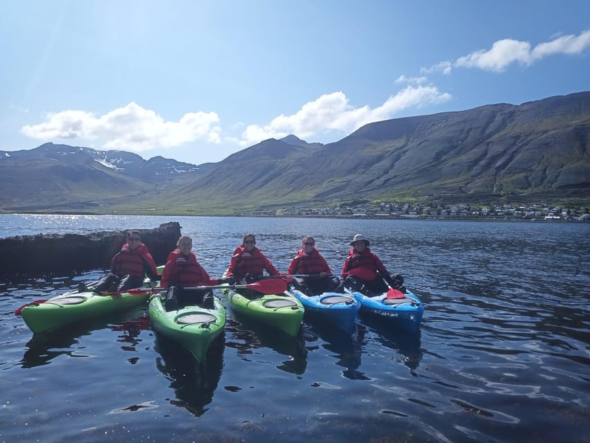 Siglufjörður / Siglufjordur: Private Guided kayak tour. - Who Will Love This Tour?