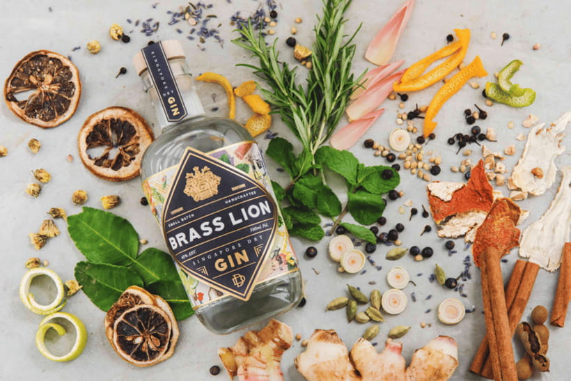 Singapore: Brass Lion Gin Distillery Tour Ticket - Discovering the Birth of Brass Lion
