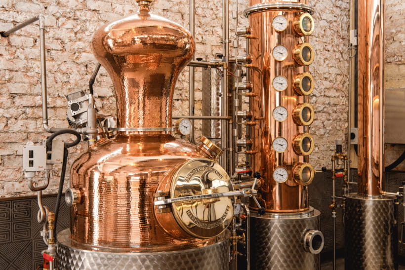 Singapore: Brass Lion Guided Gin Tasting Experience Ticket - Practical Details & Value