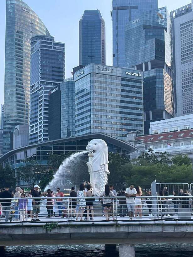 Singapore: City Tour with Cloud Forest and Supertree Tickets - The Itinerary: What Makes Each Stop Special