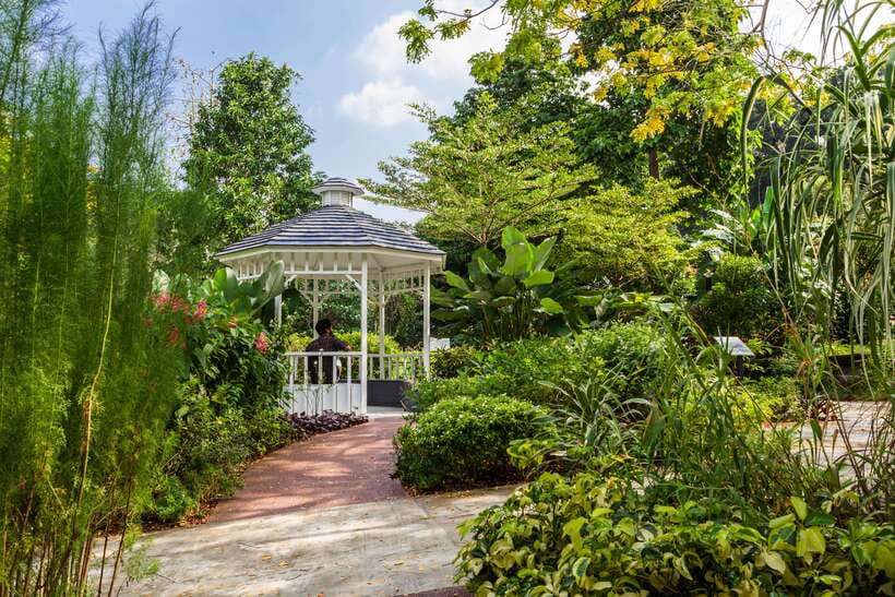 Singapore: Faber Peak Guided Walking Tour with Breakfast - Starting at HarbourFront MRT Station