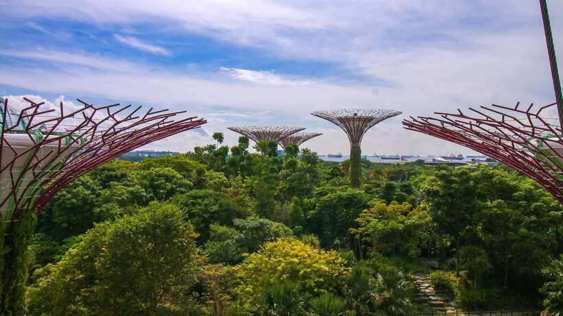 Singapore: Gardens by the Bay Bundle Entry Ticket - A Closer Look at the Itinerary