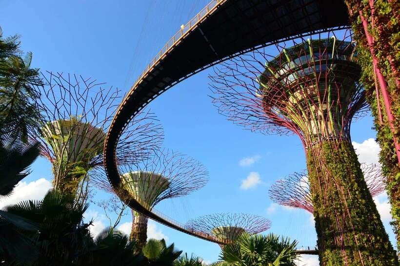 Singapore: Gardens by the Bay Guided Tour/Photography - The Photography Session—Making Every Shot Count