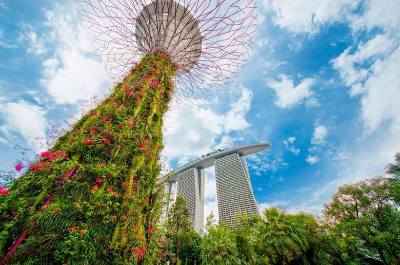 Singapore Gardens by the Bay with Entry Ticket and Pick up - What Makes This Tour Stand Out?