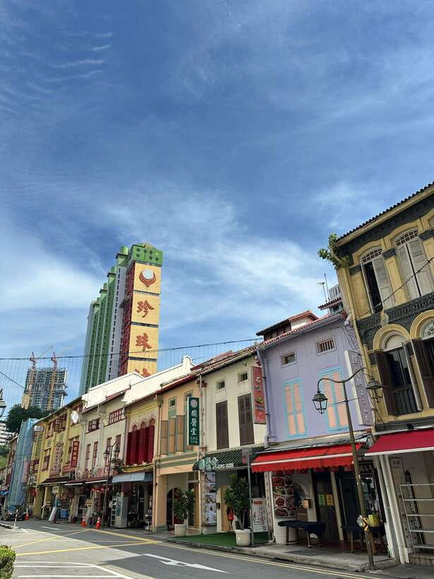 Singapore Limousine Van Tour: Chinatown/Haji Lane/Joo Chiat - How the Tour Fits Into Your Singapore Adventure