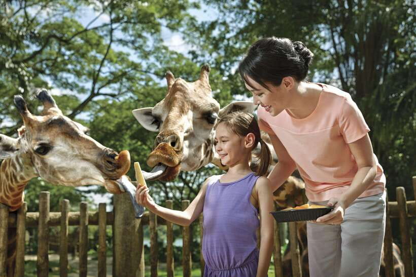 Singapore: Mandai Park Entry with Choice of Attractions - Who Will Love This Experience?