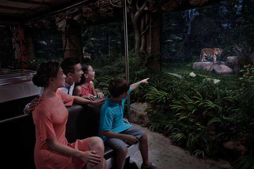 Singapore: Night Safari and Tram Ride Ticket - Practical Insights for Your Visit