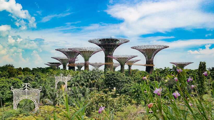 Singapore: Private Flexible Tour with a Licensed Local Guide - What to Expect on Your Customized Singapore Tour