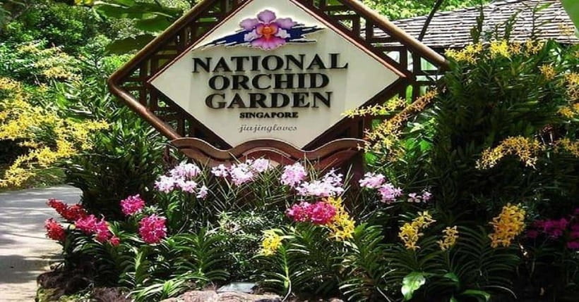Singapore: Private Full-Day Island Tour - What Makes This Tour Stand Out?