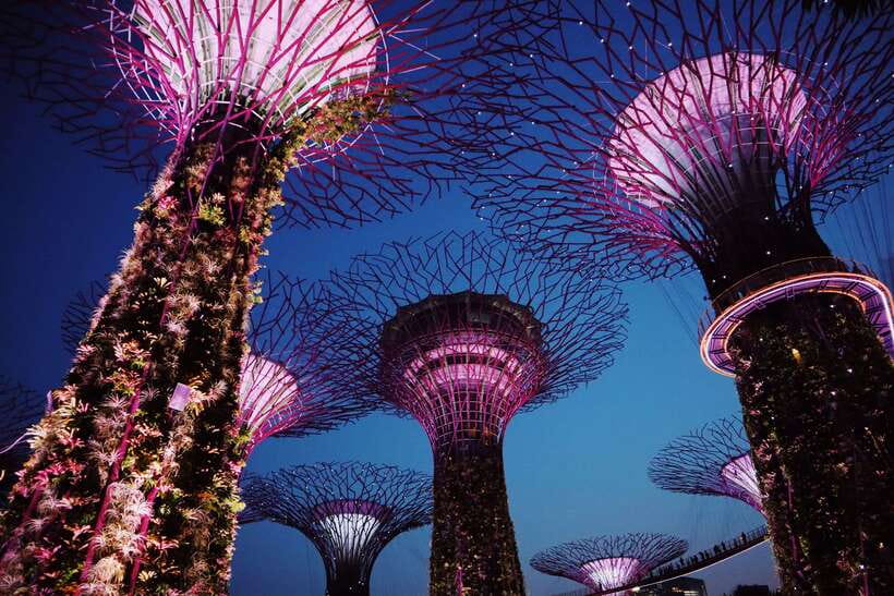 Singapore: Private Tour with a Local Guide - Who Should Consider This Tour?