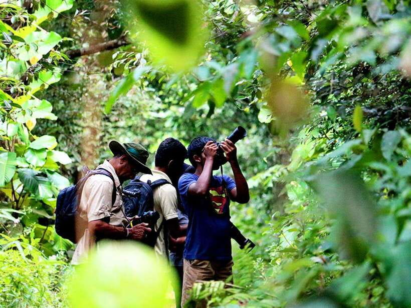 Sinharaja Rain Forest UNESCO Walk and Bird Watching Day Tour - Practical Tips for Your Visit