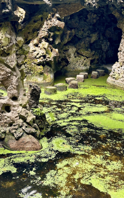 Sintra: Quinta da Regaleira Entry Tickets with Host - Authentic Feedback from Visitors