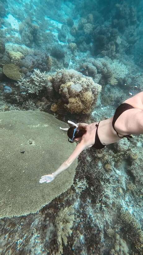 Siquijor: Jeepney Island Tour with Snorkeling - What’s Included and What to Know