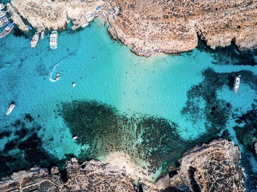 Sliema/St. Paul's: Gozo, Comino & Blue Lagoon Ferry Cruise - Who Will Love This Tour?
