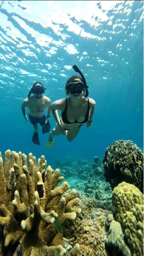 Snorkeling around 3 island & turtle sanctuary - What to Expect: Realistic Insights