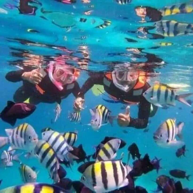 SNORKELING AT BLUELAGOON SPOT - The Itinerary Breakdown