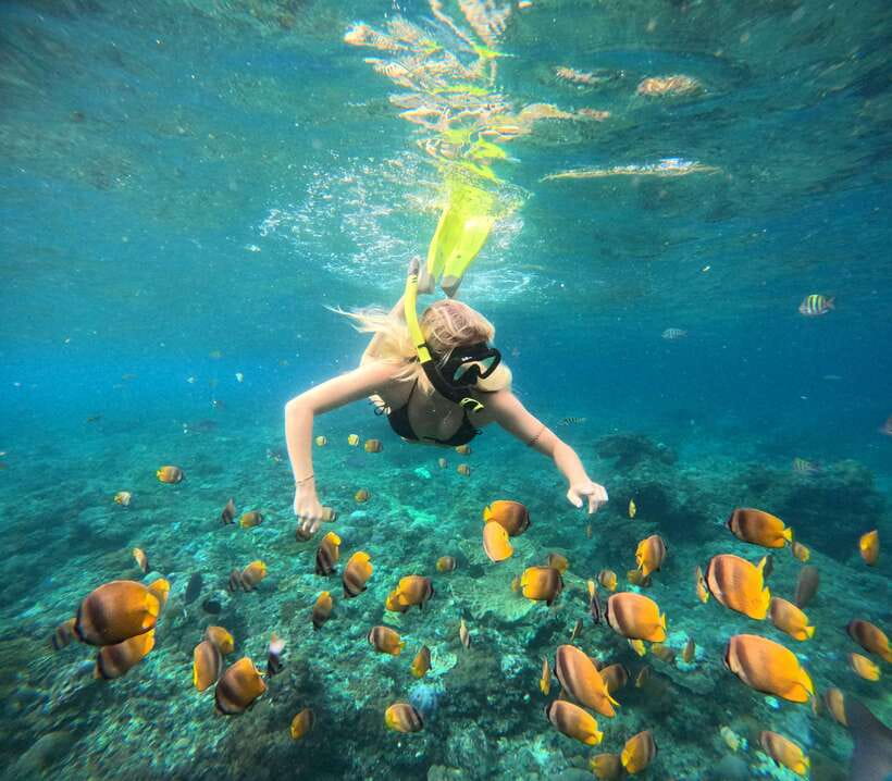 Snorkeling Nusa Penida four Spots - What’s Included and What’s Not