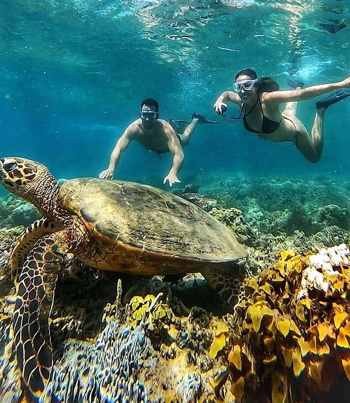 Snorkeling to Gili Nanggu, Tangkong, Sudak and Kedis - The Practicalities: What’s Included and What’s Not