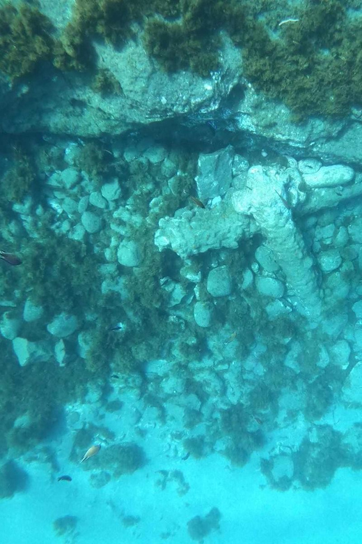 Snorkeling Tour- Vila Franca do Campo Islet - Who Should Consider This Tour?