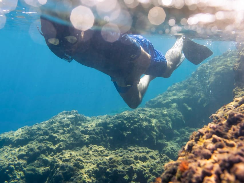Snorkelling & Marine Biology Experience in the Cinque Terre - Experience Highlights