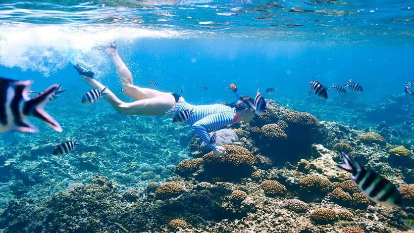snorkling explore - Whats Included & Whats Not