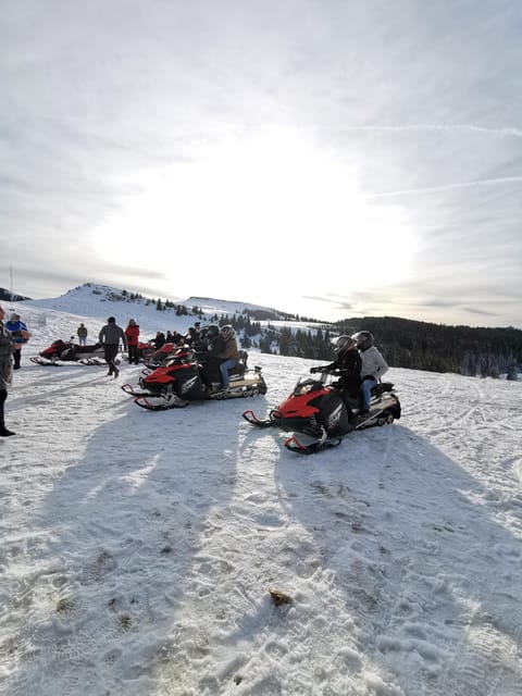 Snowmobile, ATV or Buggy Tour from Bucharest - An In-Depth Look at the Tour Experience