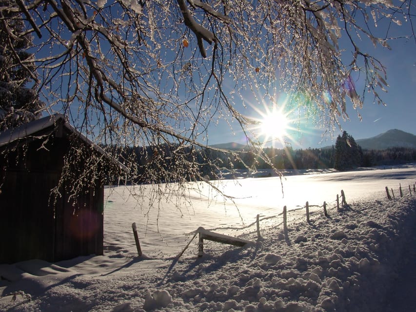 Snowshoe hike in the Allgäu - Authentic Experiences and Practical Details