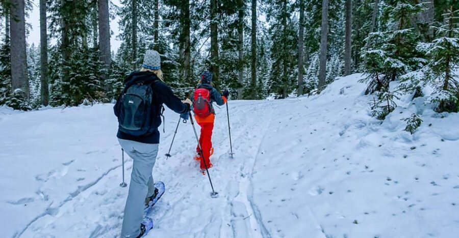 Snowshoeing in Triglav National Park - What to Expect on the Tour