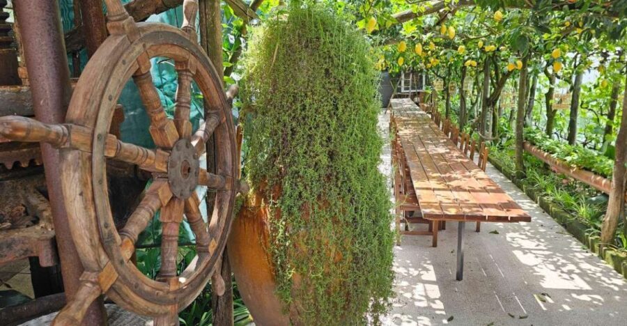Sorrento Coast: E-Bike & Cooking Experience - A Closer Look at the Itinerary: What to Expect