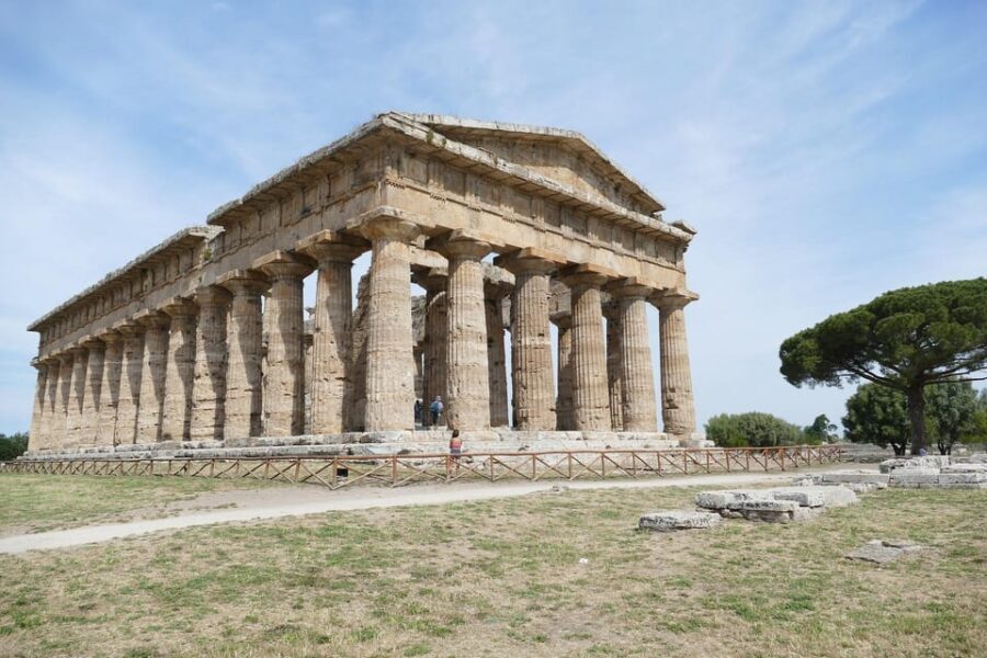 Sorrento: Paestum Temples & Buffalo Mozzarella Farm Tour - The Art of Buffalos and Mozzarella