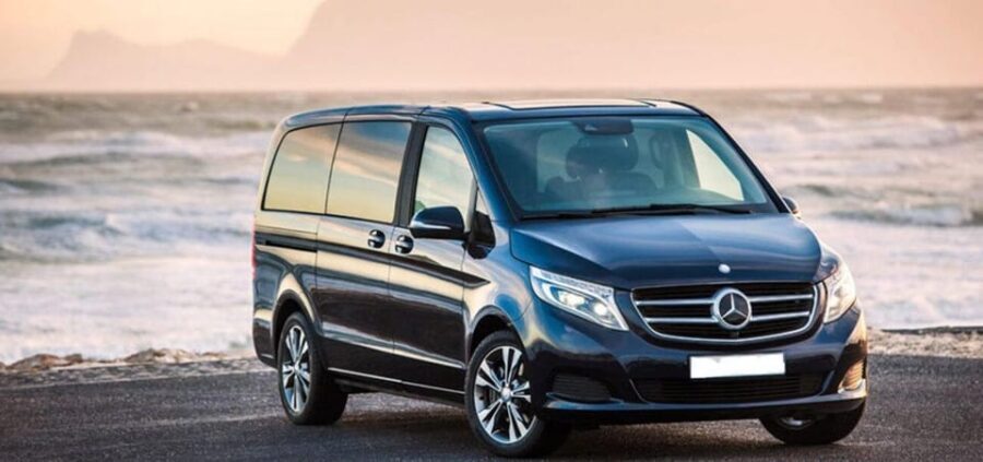Sorrento:Enjoy Pompeii & Vesuvius/Winery in private transfer - Who Should Consider This Tour?