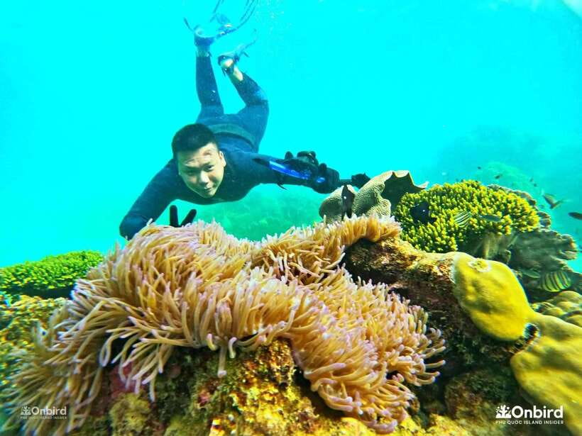South Phu Quoc: 3-4 Hours Private Snorkeling Trip - Itinerary and Activities