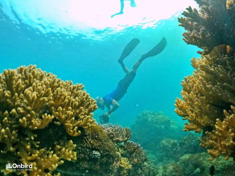 South Phu Quoc: Pro Snorkeling Tour by Speedboat - Group Size and Instructor Qualifications