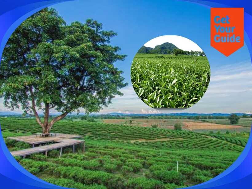 Special Chiang Rai: One Day Tour With Private Driver - Itinerary Highlights