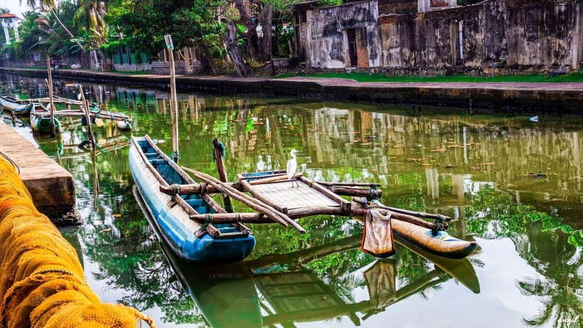 Sri Lanka: 15-Day Grand Tour With Vacation Time - Why This Tour Can Be a Great Choice