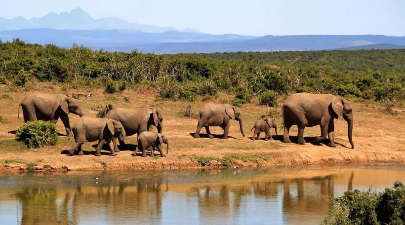 Sri Lanka 4 Days Sightseeing Tour with 4 Days Beach Holiday - Practical Aspects and Value