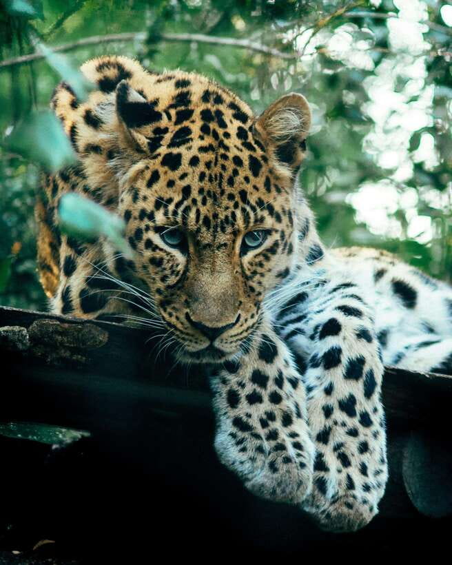 Sri Lanka 5-Day Private Guided Tour - What’s Included and What Isn’t