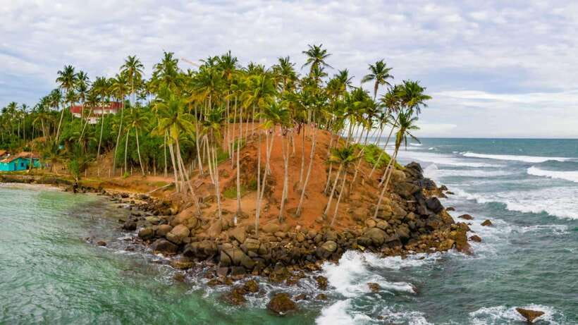 Sri Lanka: 6-Day Luxury Honeymoon Tour - The Itinerary in Detail