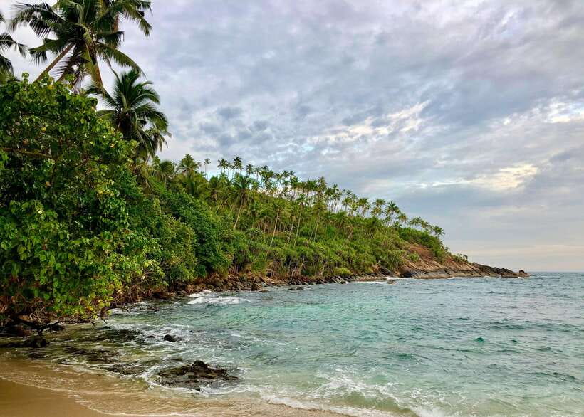Sri Lanka: 6-Day Wildlife Safari Private Tour - What’s Included and What to Budget For