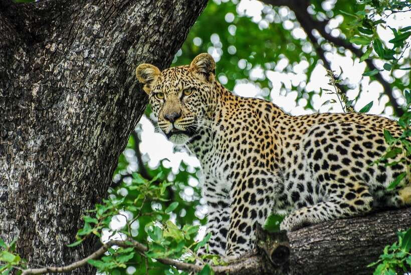 Sri Lanka: 7-Day Off-The-Beaten Path Private Tour - What Travelers Say