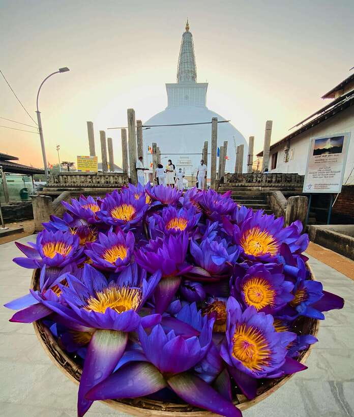Sri Lanka Ancient Temple, Wildlife, Hill Country Train - The Value and Experience