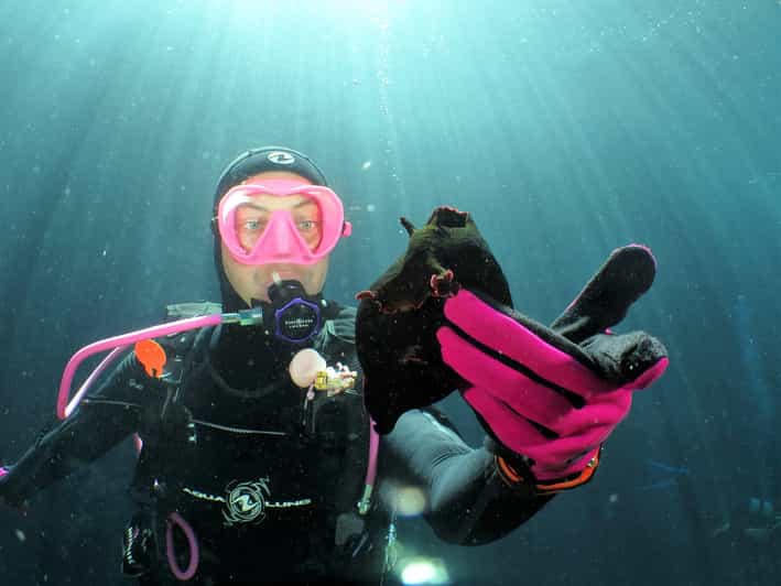 SSI Try Scuba Diving in the sea - A Closer Look at the Itinerary and Experience